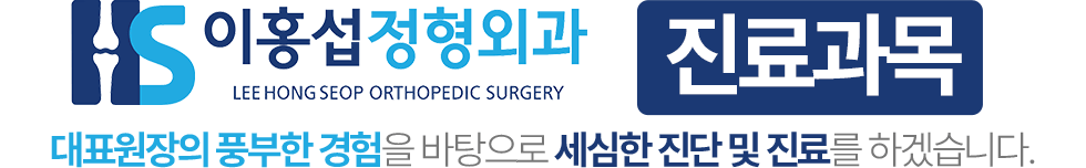 이홍섭정형외과 진료과목