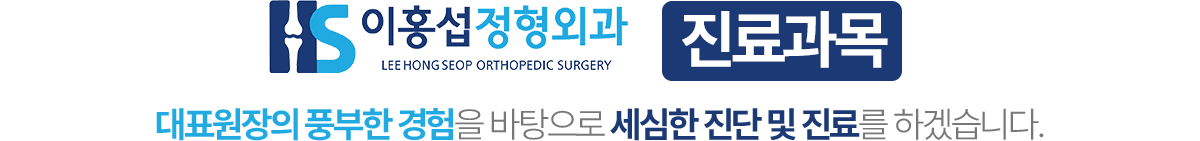 이홍섭정형외과 진료과목